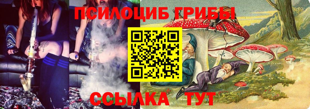 Галлюциногенные грибы Psilocybine cubensis Тула